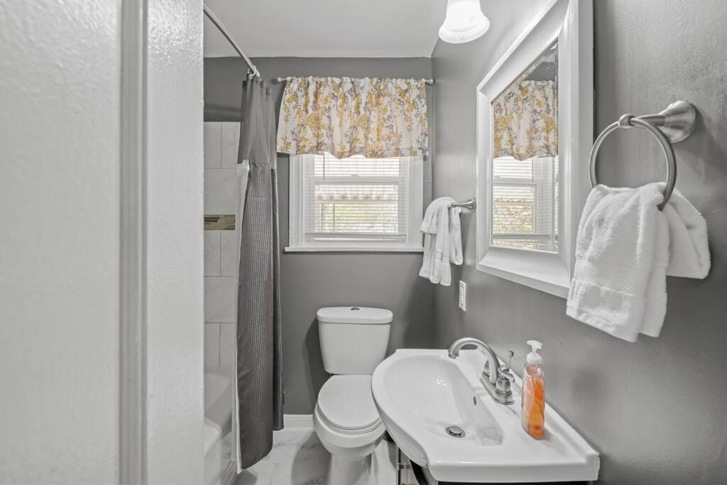 Private House + Yard Central Location To All Rva リッチモンド エクステリア 写真